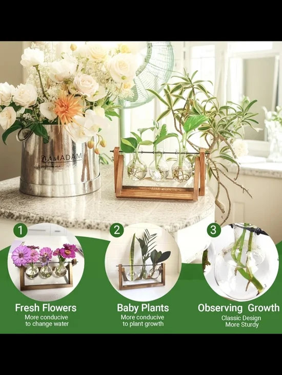 Tri-Glass Hydroponic Plant  Propagation Vases with Wooden Stand Terrariums Bulb - Picture 2 of 4